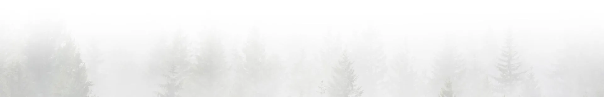 มาตรฐานด้านสิ่งแวดล้อม