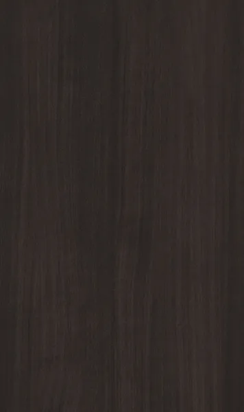 วายเอ็ม16