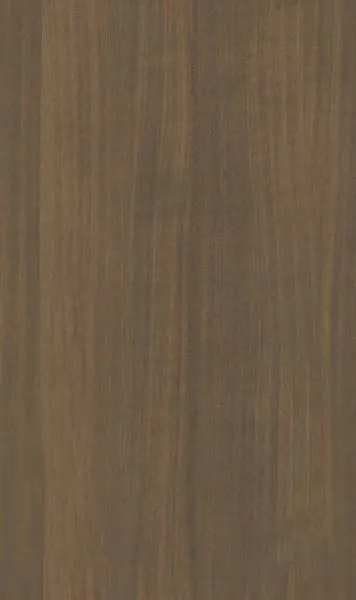 วายเอ็ม14