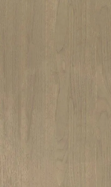 วายเอ็ม17